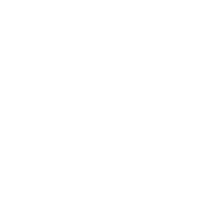 Picnic